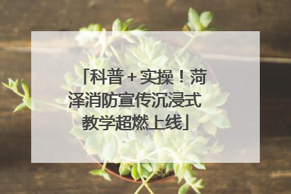 科普＋实操！菏泽消防宣传沉浸式教学超燃上线