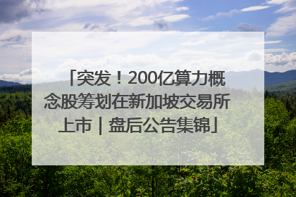 突发！200亿算力概念股筹划在新加坡交易所上市｜盘后公告集锦