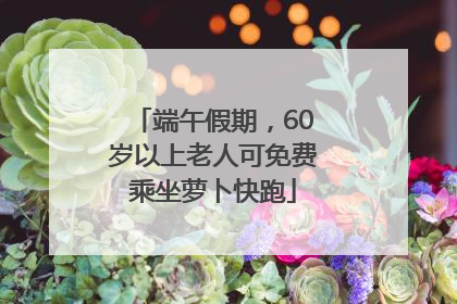 端午假期，60岁以上老人可免费乘坐萝卜快跑