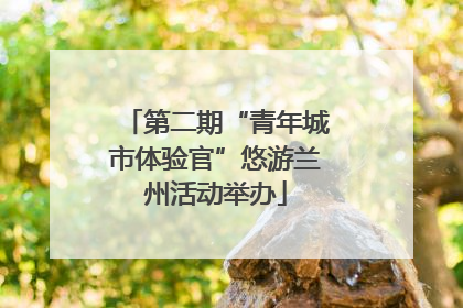 第二期“青年城市体验官”悠游兰州活动举办