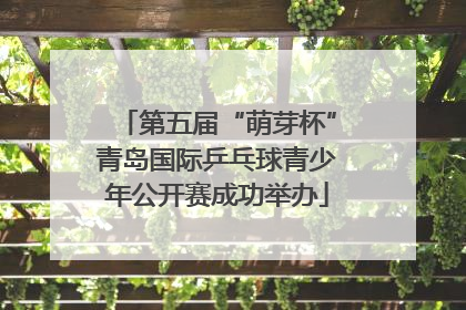 第五届“萌芽杯”青岛国际乒乓球青少年公开赛成功举办