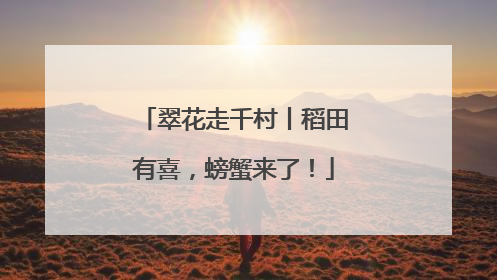 翠花走千村丨稻田有喜，螃蟹来了！