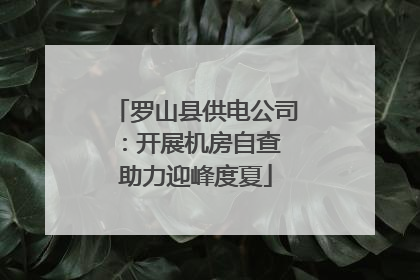 罗山县供电公司：开展机房自查 助力迎峰度夏