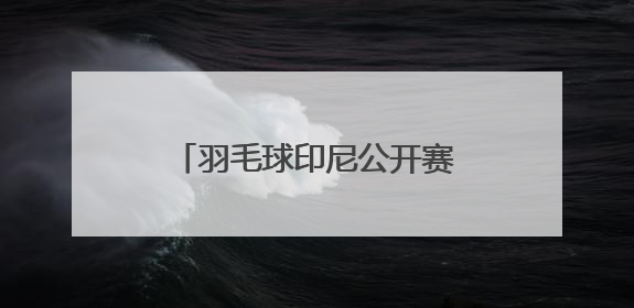 羽毛球印尼公开赛｜王祉怡不敌安洗莹 获得女单亚军