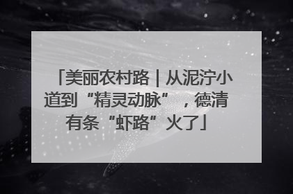 美丽农村路｜从泥泞小道到“精灵动脉”，德清有条“虾路”火了