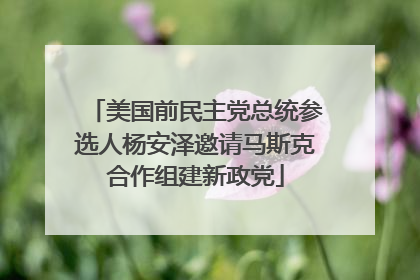 美国前民主党总统参选人杨安泽邀请马斯克合作组建新政党
