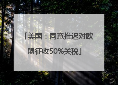 美国：同意推迟对欧盟征收50%关税