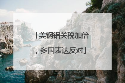 美钢铝关税加倍，多国表达反对