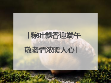 粽叶飘香迎端午 敬老情浓暖人心