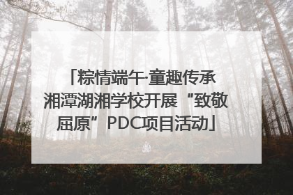 粽情端午·童趣传承 湘潭湖湘学校开展“致敬屈原”PDC项目活动