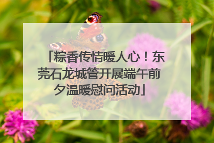 粽香传情暖人心！东莞石龙城管开展端午前夕温暖慰问活动
