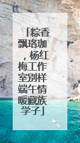 粽香飘珞珈，杨红梅工作室别样端午情暖藏族学子