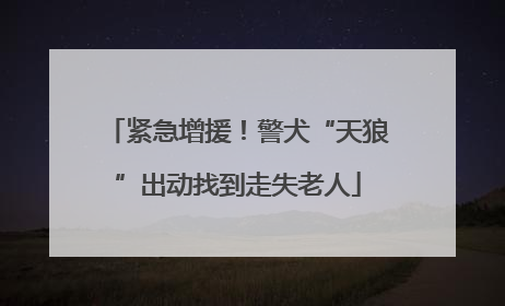 紧急增援！警犬“天狼”出动找到走失老人