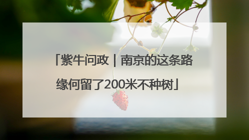 紫牛问政｜南京的这条路缘何留了200米不种树