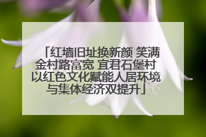 红墙旧址换新颜 笑满金村路富宽 宜君石堡村以红色文化赋能人居环境与集体经济双提升