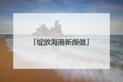 绽放海港新颜值