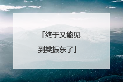 终于又能见到樊振东了