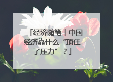 经济随笔丨中国经济靠什么“顶住了压力”？