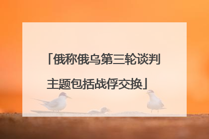 俄称俄乌第三轮谈判主题包括战俘交换