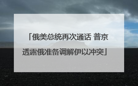 俄美总统再次通话 普京透露俄准备调解伊以冲突