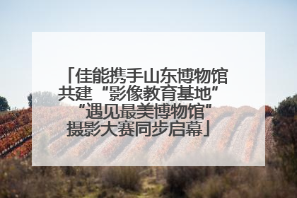 佳能携手山东博物馆共建“影像教育基地” “遇见最美博物馆”摄影大赛同步启幕