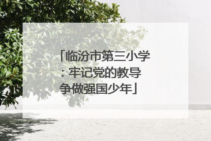 临汾市第三小学：牢记党的教导 争做强国少年