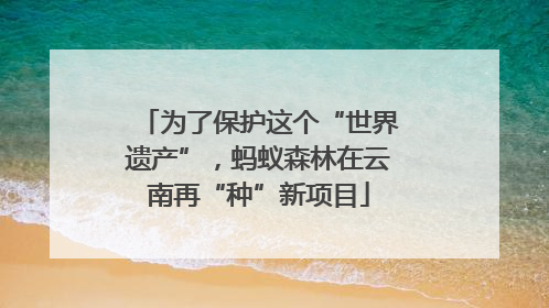 为了保护这个“世界遗产”，蚂蚁森林在云南再“种”新项目