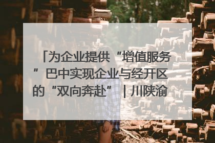 为企业提供“增值服务”巴中实现企业与经开区的“双向奔赴”｜川陕渝网络名人巴中行