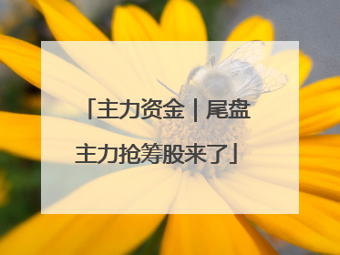 主力资金｜尾盘主力抢筹股来了