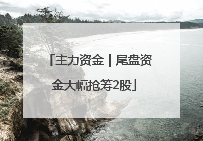 主力资金｜尾盘资金大幅抢筹2股