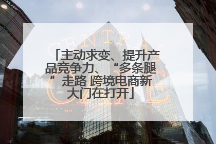 主动求变、提升产品竞争力、“多条腿”走路 跨境电商新大门在打开