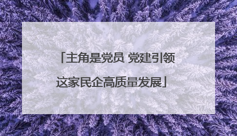 主角是党员 党建引领这家民企高质量发展