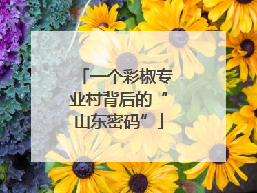 一个彩椒专业村背后的“山东密码”