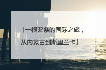一根薯条的国际之旅，从内蒙古到斯里兰卡