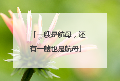 一艘是航母，还有一艘也是航母