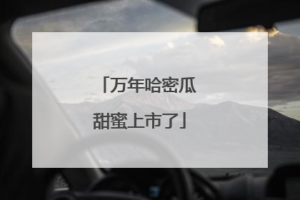 万年哈密瓜甜蜜上市了