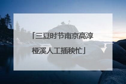 三夏时节南京高淳桠溪人工插秧忙