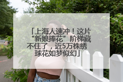 上海人速冲！这片“新娘捧花”阶梯藏不住了，近5万株绣球花如梦似幻