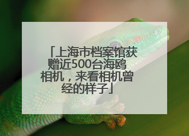 上海市档案馆获赠近500台海鸥相机，来看相机曾经的样子