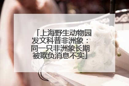 上海野生动物园发文科普非洲象：同一只非洲象长期被欺负消息不实