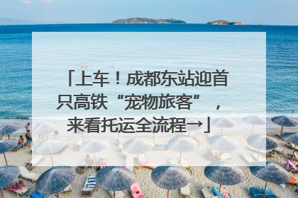 上车！成都东站迎首只高铁“宠物旅客”，来看托运全流程→