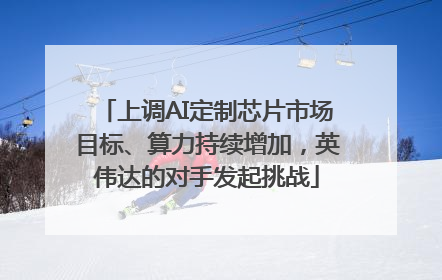 上调AI定制芯片市场目标、算力持续增加，英伟达的对手发起挑战