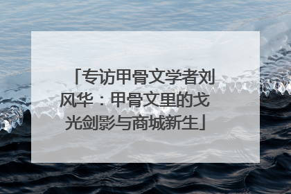 专访甲骨文学者刘风华：甲骨文里的戈光剑影与商城新生
