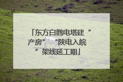 东方白鹳电塔建“产房” “陕电入皖”架线延工期