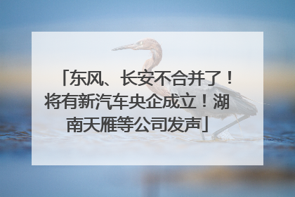 东风、长安不合并了！将有新汽车央企成立！湖南天雁等公司发声