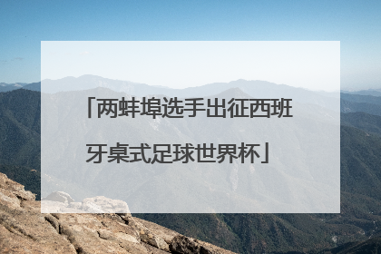 两蚌埠选手出征西班牙桌式足球世界杯