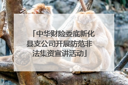 中华财险娄底新化县支公司开展防范非法集资宣讲活动