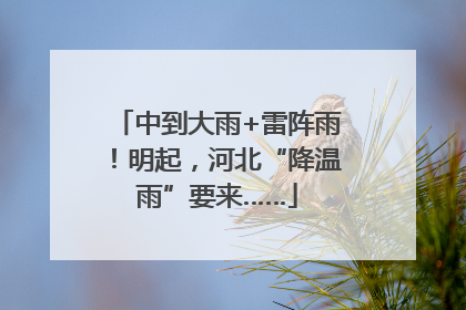 中到大雨+雷阵雨！明起，河北“降温雨”要来……