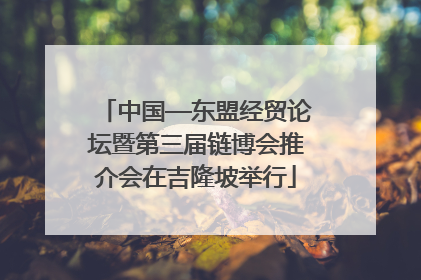 中国—东盟经贸论坛暨第三届链博会推介会在吉隆坡举行