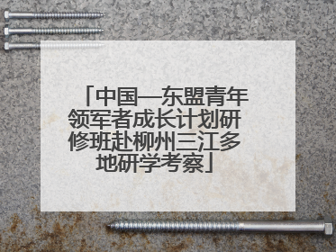 中国—东盟青年领军者成长计划研修班赴柳州三江多地研学考察